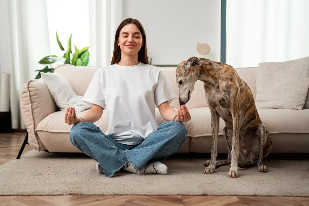 meditar con tu perro