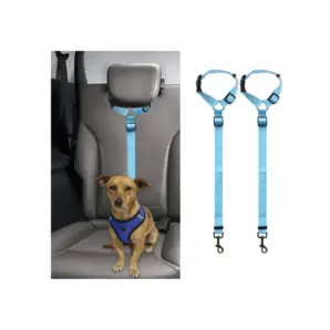 cinturón de seguridad para perro