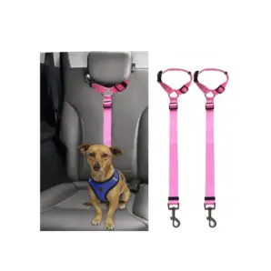 cinturón de seguridad para perro