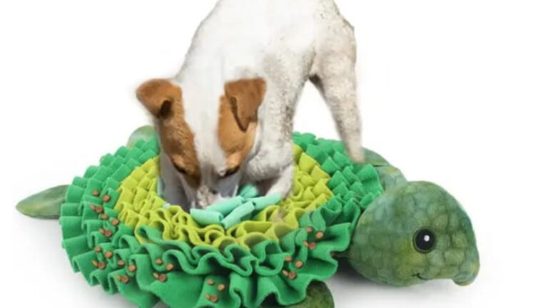 Juguetes para mascotas: ¿Conoces los tapetes olfativos?
